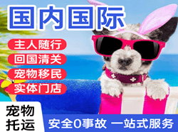 荆州沙市国际宠物托运 【国
